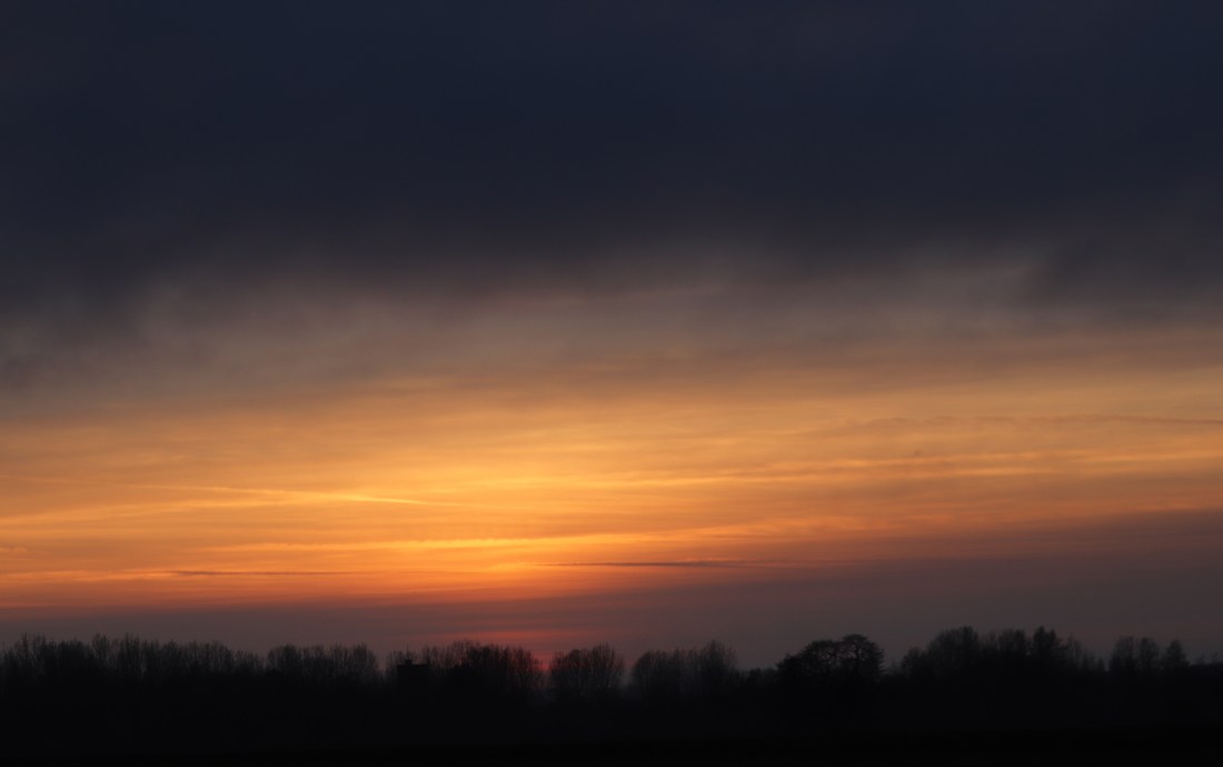 A winter sky above a line of trees at dusk.